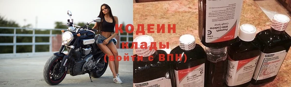 a pvp Пересвет