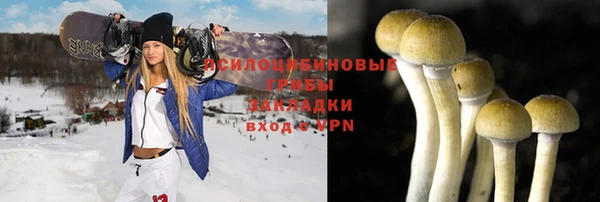 spice Грязовец