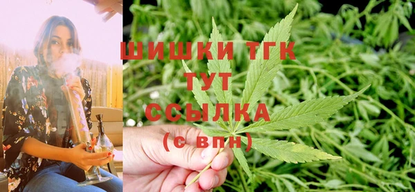 a pvp Пересвет