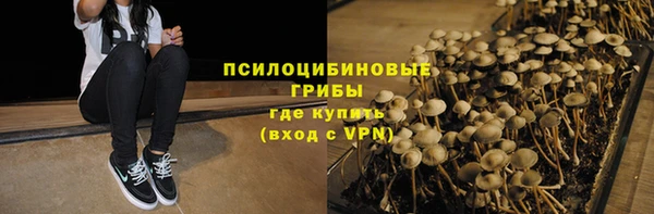 дживик Гвардейск