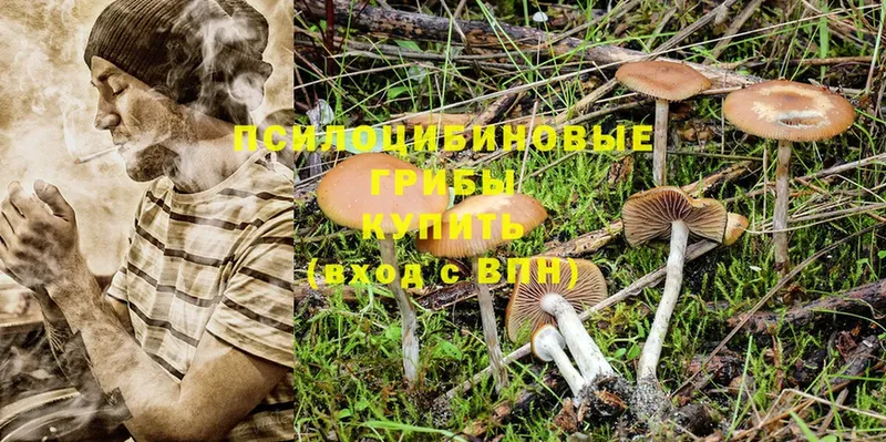 Галлюциногенные грибы Magic Shrooms  omg рабочий сайт  Ялта 