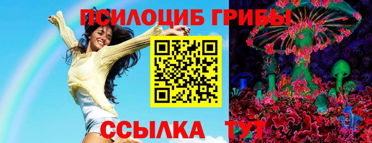 Галлюциногенные грибы MAGIC MUSHROOMS  Псилоцибиновые грибы мухоморы  Ялта  Вход с VPN 