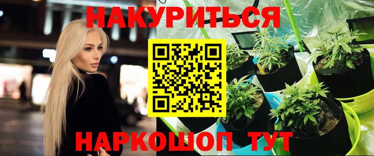 Марихуана OG Kush Ялта